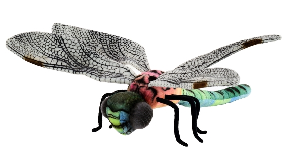 Libelle